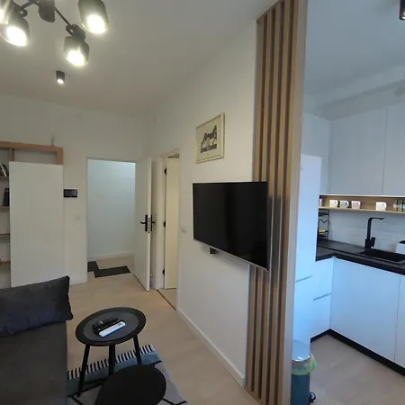 Aster * 贝尔格莱德